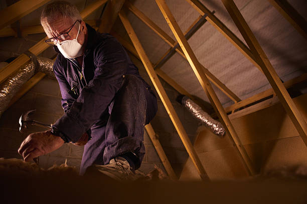 Types of Insulation We Offer in Mount Angel, OR
