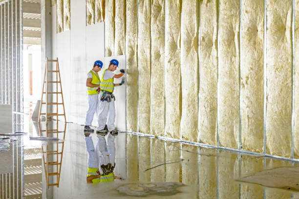 Best Geographic-Specific Insulation Services in Mount Angel, OR